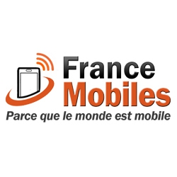ART : Rapport public des activits mobiles en France