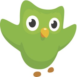 Duolingo introduit les clubs de langue dans ses applications Android et iOS