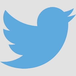 Twitter enlève la limite des 140 caractères pour la messagerie privée