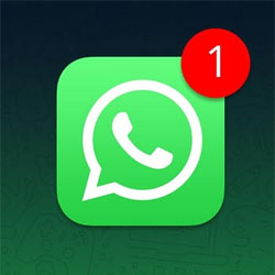 WhatsApp enrichit son application avec l'IA, le double compte sur iPhone et un meilleur contr�le du stockage